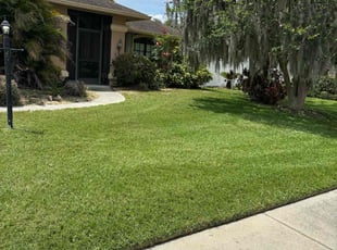 Dean L.'s lawn care services service result