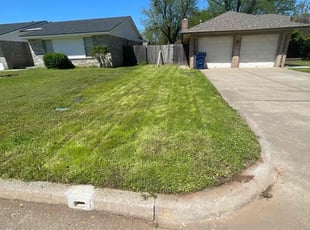 Mann H.'s grass maintenance service result