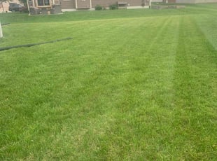 Wytania K.'s grass cutting service result