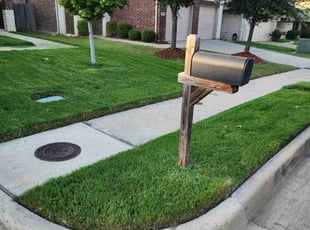 Kelsey B.'s lawn care services service result