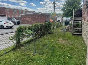 Dan M.'s Bush Trimming service result