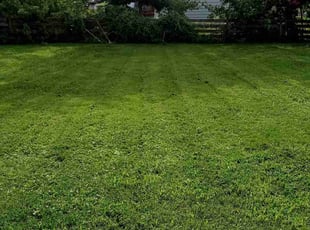 Ronda L.'s grass cutting service result