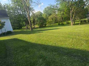 Lyntel M.'s grass cutting service result