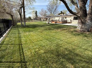 JoAnn P.'s grass cutting service result
