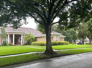 Carisa S.'s lawn service service result