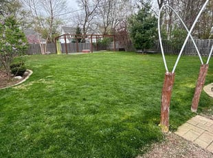 Maryann S.'s turf maintenance service result