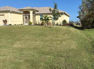 Michelle R.'s turf care service result