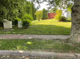 Samantha P.'s turf maintenance service result