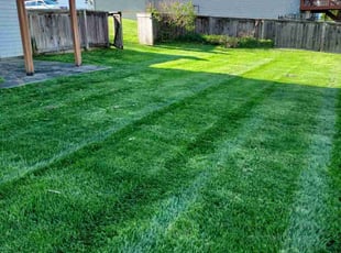 Anthony H.'s lawn care services service result