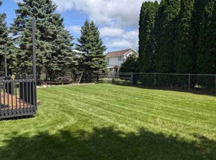 Samuel K.'s grass maintenance service result