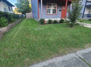 Thomas T.'s turf maintenance service result