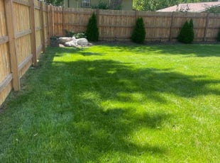 Shelly C.'s turf care service result