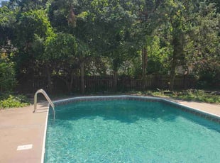 Megan P.'s Bush Trimming service result