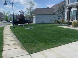 Jordan w.'s lawn care services service result