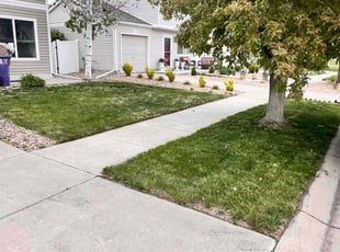 Carl E.'s turf care service result