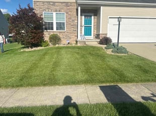 Judy A.'s lawn care service result