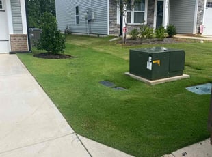 Matt N.'s turf care service result