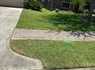 Kimberly S.'s grass maintenance service result