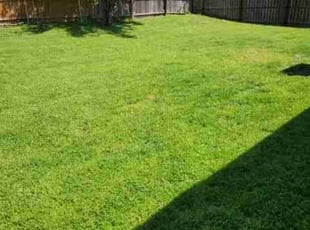 Luis L.'s turf maintenance service result