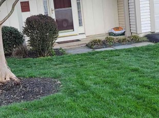 Greg G.'s lawn care service result