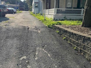 Terry C.'s grass maintenance service result