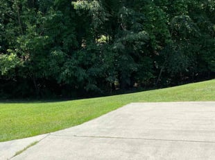 Anthony H.'s lawn care service result