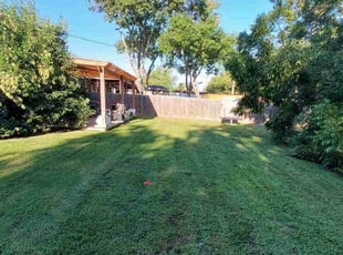 Dominique C.'s grass maintenance service result