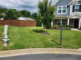 Roger M.'s turf maintenance service result