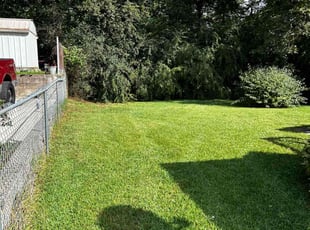 Hilyer I.'s lawn care services service result