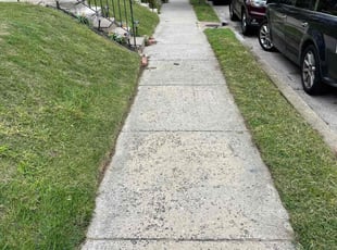 Tom B.'s lawn care service result