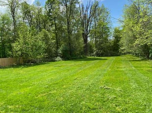Nina C.'s turf care service result