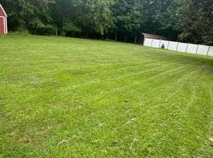 Brian R.'s lawn care service result
