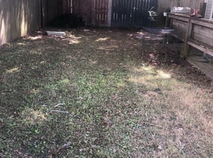 Stacy P.'s Leaf Removal service result