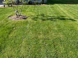 Angela C.'s lawn maintenance service result
