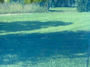 John D.'s lawn service service result