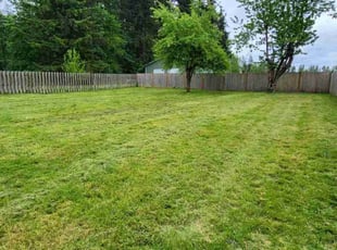 Loni M.'s lawn service service result