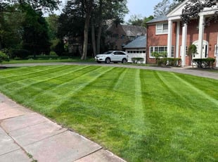 Thomas H.'s grass cutting service result