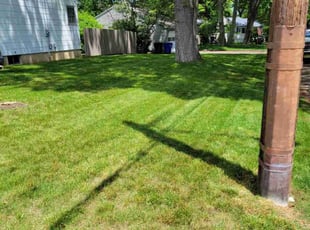 Quintara J.'s lawn care services service result