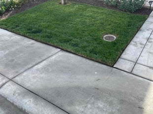 Abanoub F.'s lawn service service result