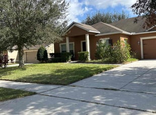 Ty L.'s lawn care services service result
