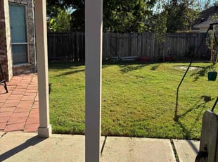 Lewis C.'s grass cutting service result