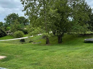 Onilda M.'s lawn service service result