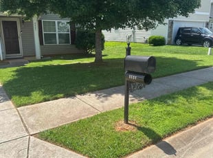 Darry G.'s yard care service result