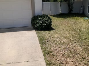 David C.'s Bush Trimming service result
