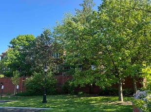 Lynn S.'s lawn care service result