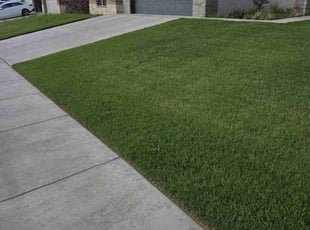 Patrice A.'s lawn service service result