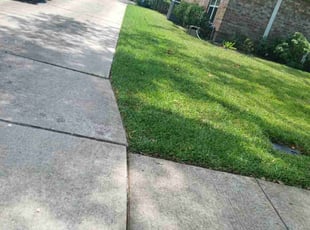 Nicole A.'s lawn care service result