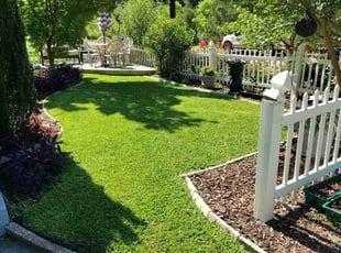 Joe Z.'s landscape maintenance service result
