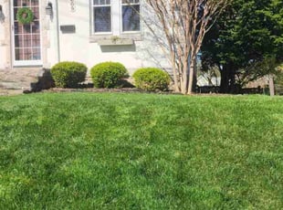 Robert H.'s yard service service result