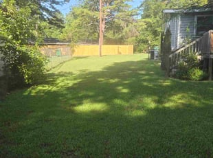 Wilson O.'s lawn care service result